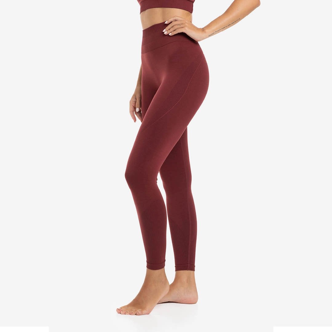 Leggings Women Seamless Scpt